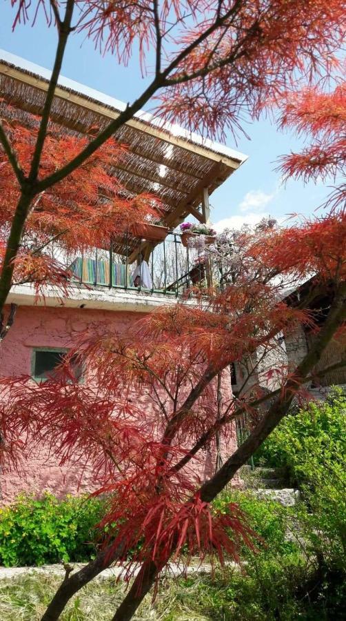 La Casa Rosa Di Segusino With Spa Jacuzzi In Garden Sequsino Eksteriør billede